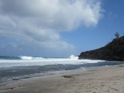 Visite de la petite cousine !